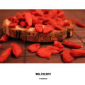 Fechas frescas rojas chinas fruta baya de goji secada